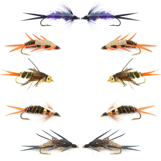 Basics Collection - Double Bead Head Nymph Assortment - 10 Wet Flies - 5 Patterns - Hook Size 14