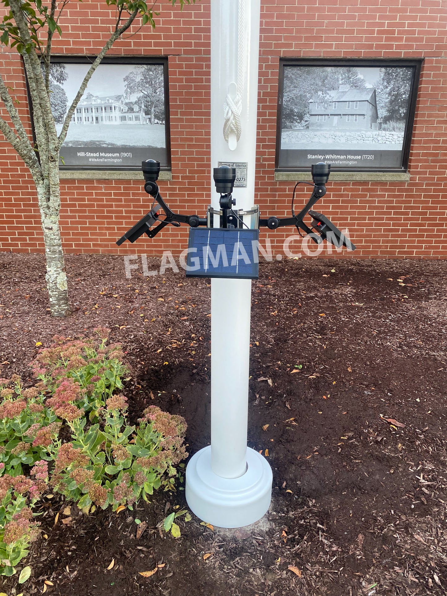 Extreme Commercial Solar Flagpole Light CREE