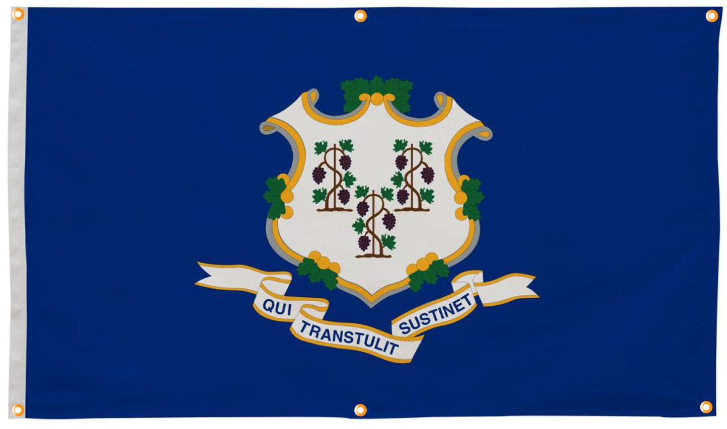 Connecticut Flag with Grommets Along the Edges for Wall Hanging