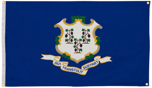 Connecticut Flag with Grommets Along the Edges for Wall Hanging
