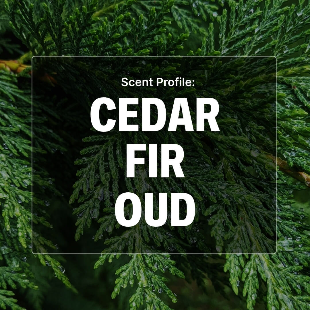 Cedar Crest Beard Oil - Cedar, Fir, Oud