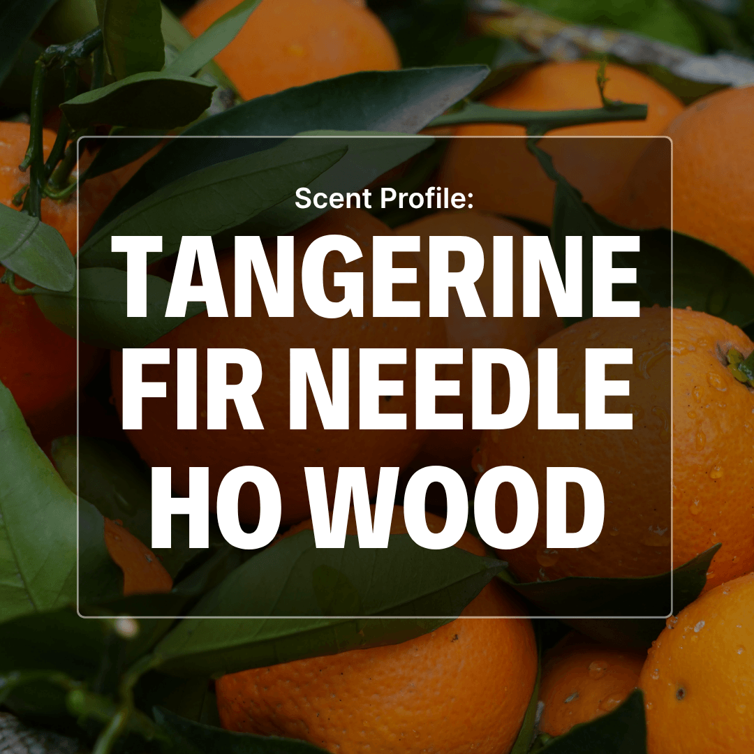 Citrus Hollow Beard Oil - Tangerine, Fir, Ho Wood