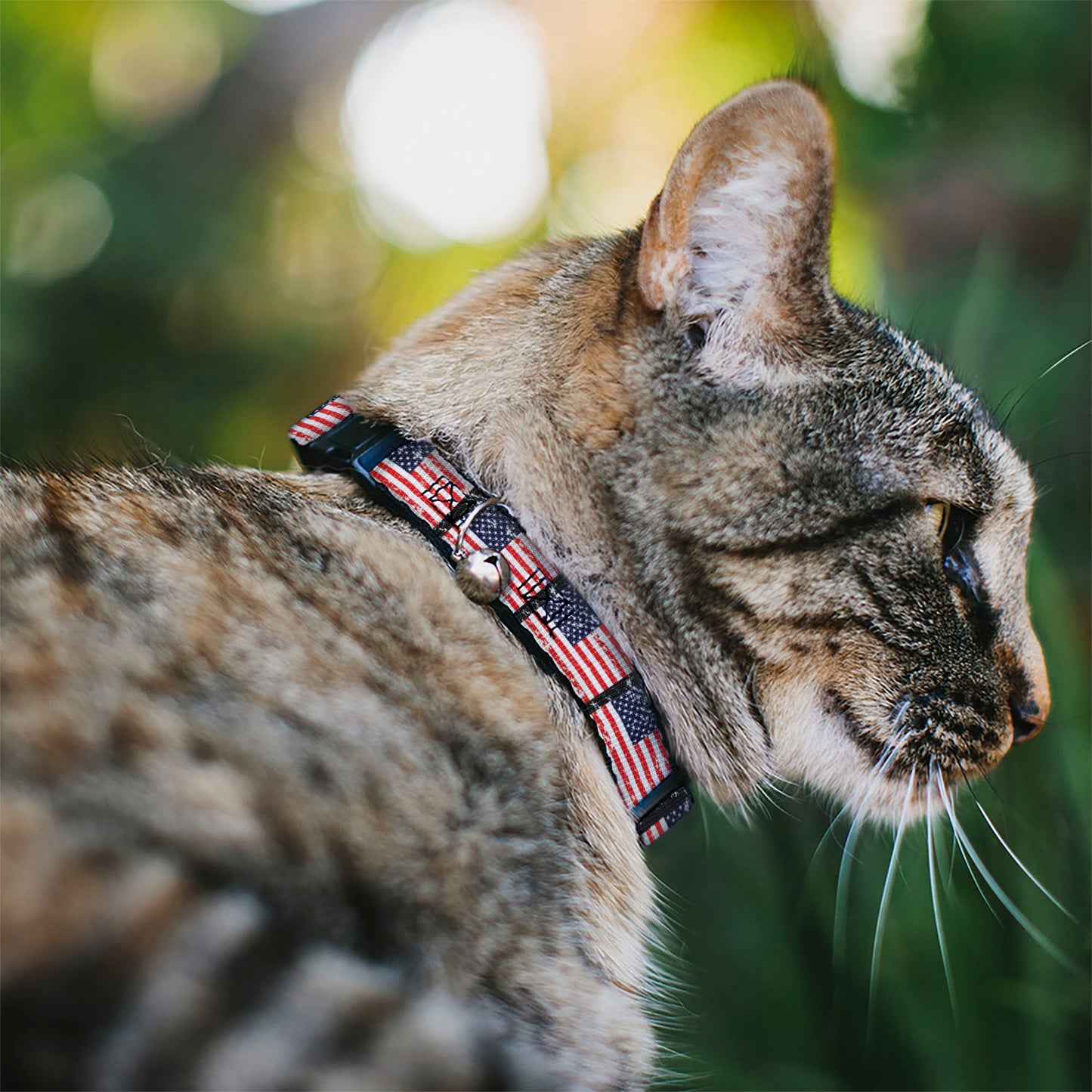 Cat Collar Breakaway - United States Flags Weathered Black