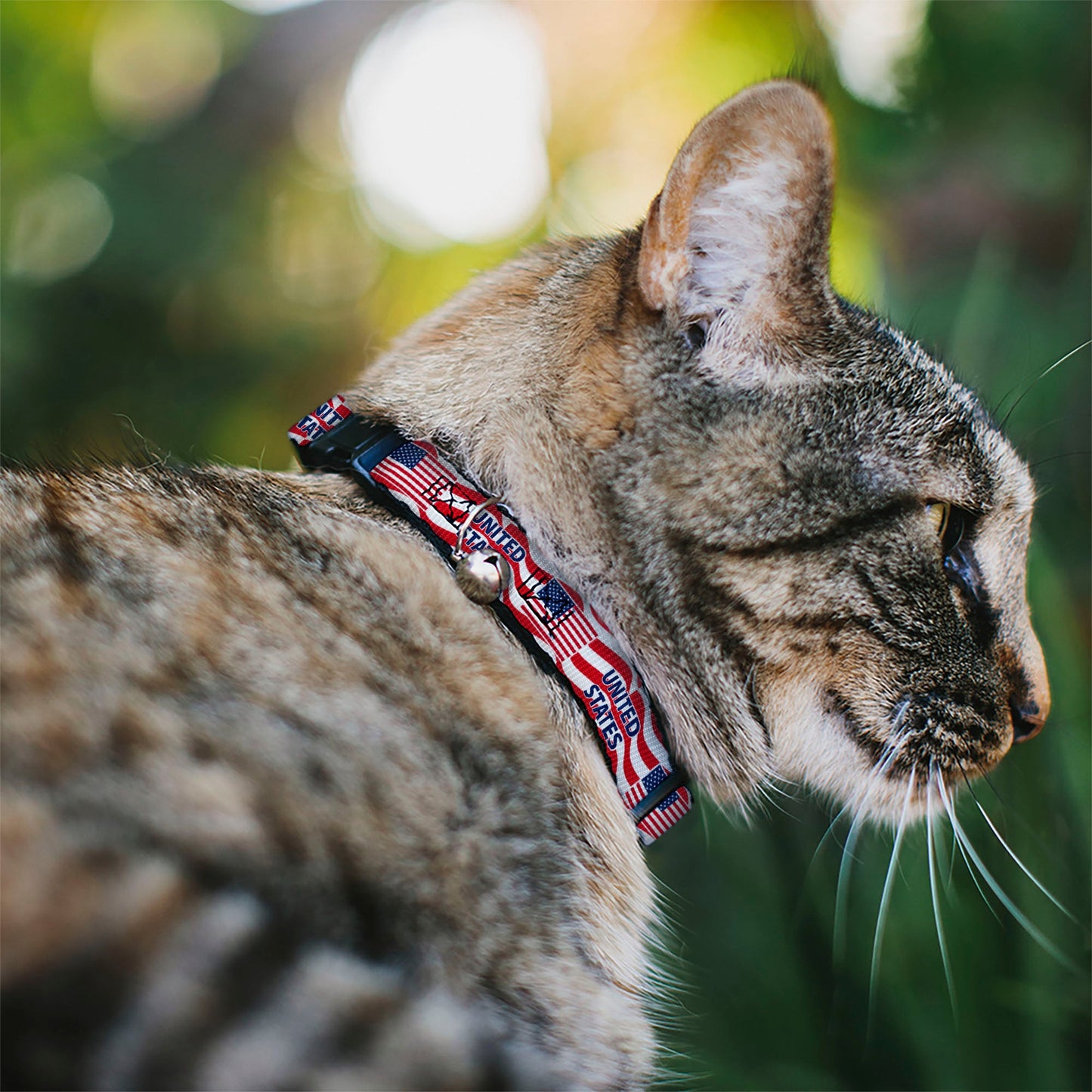 Breakaway Cat Collar with Bell - Global Soccer Cup Series United States Spirit Flag