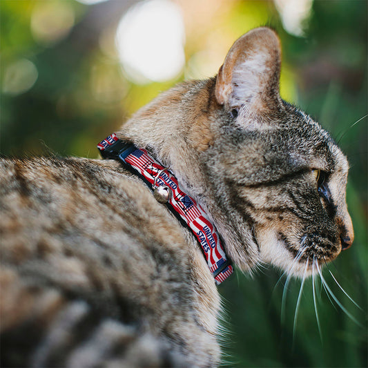 Breakaway Cat Collar with Bell - Global Soccer Cup Series United States Spirit Flag