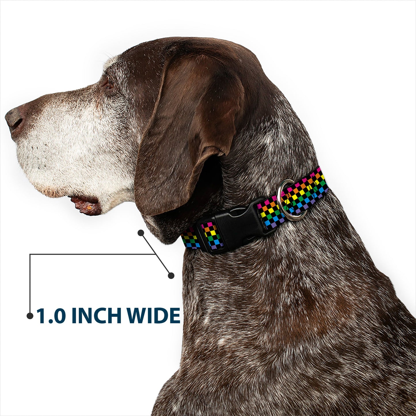 Plastic Clip Collar - Checker Black/Neon Rainbow
