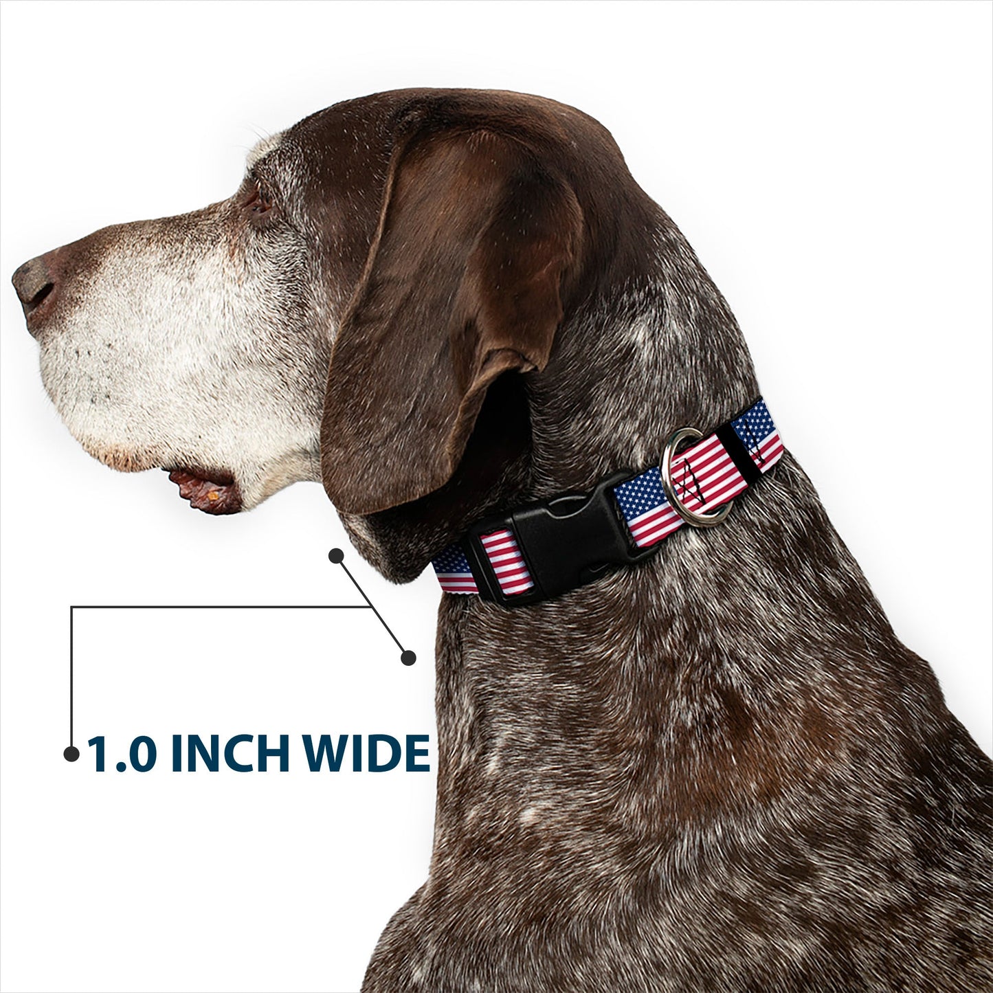 Plastic Clip Collar - United States Flags