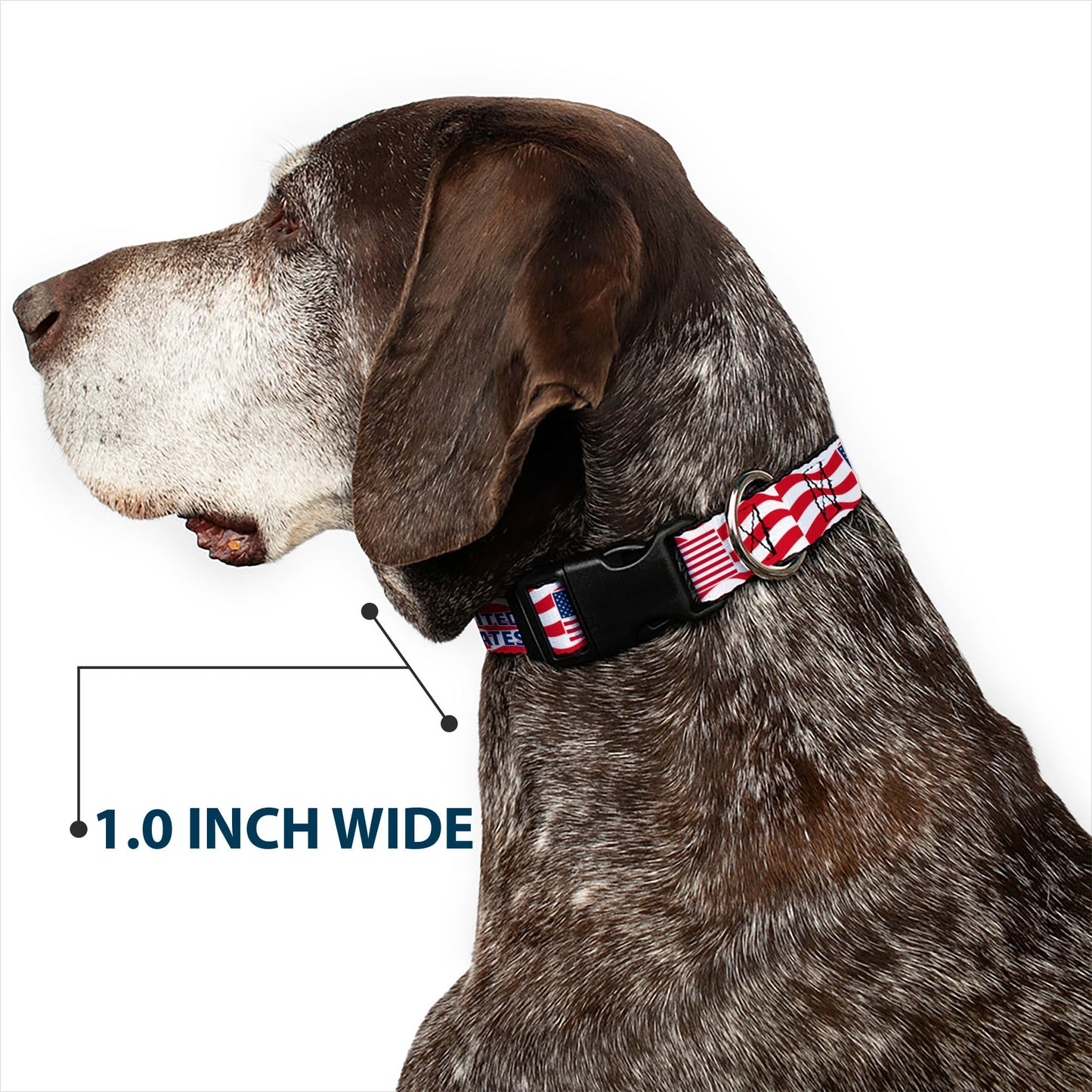 Plastic Clip Collar - Global Soccer Cup Series United States Spirit Flag