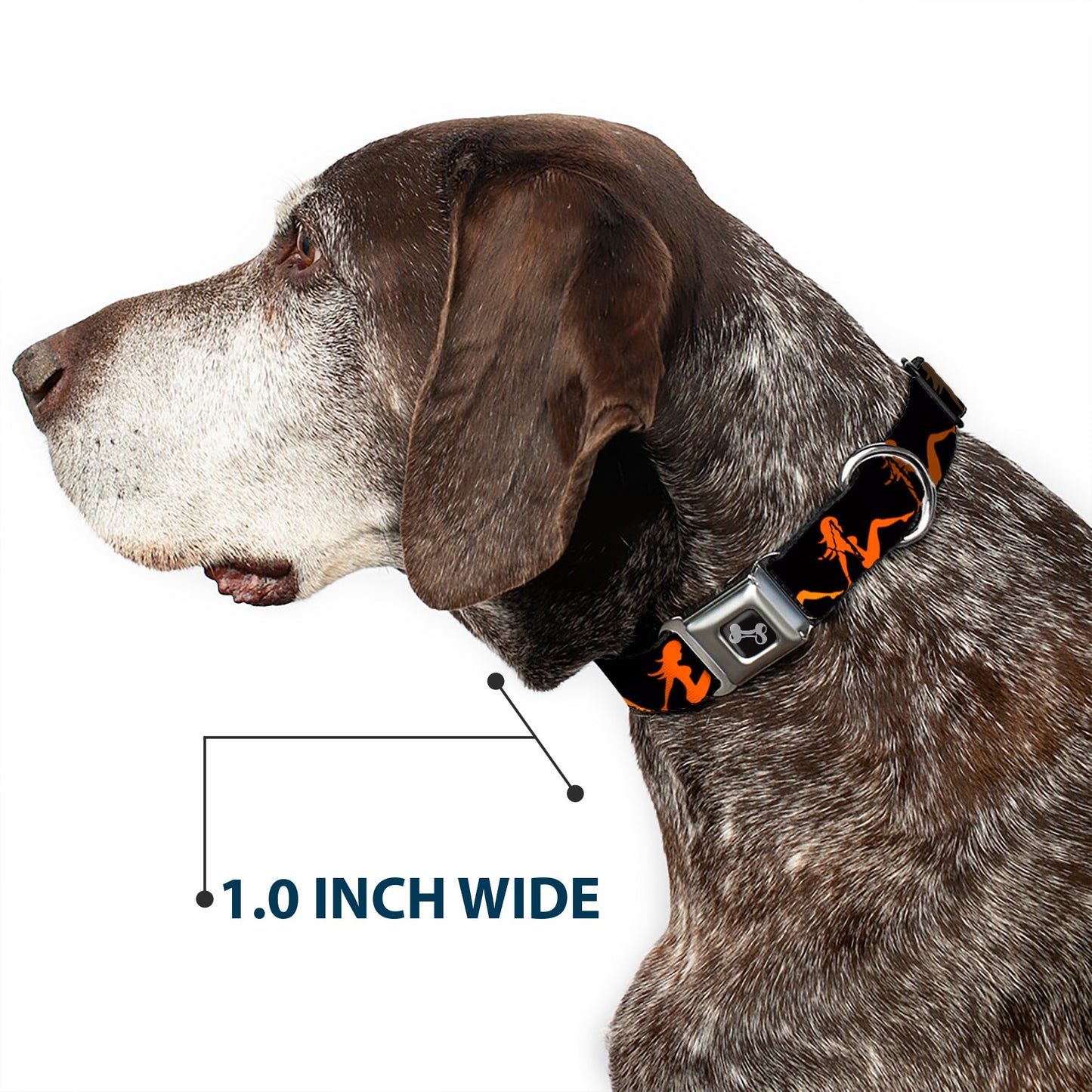 Dog Bone Seatbelt Buckle Collar - Mud Flap Girl Repeat Black/Orange Fade