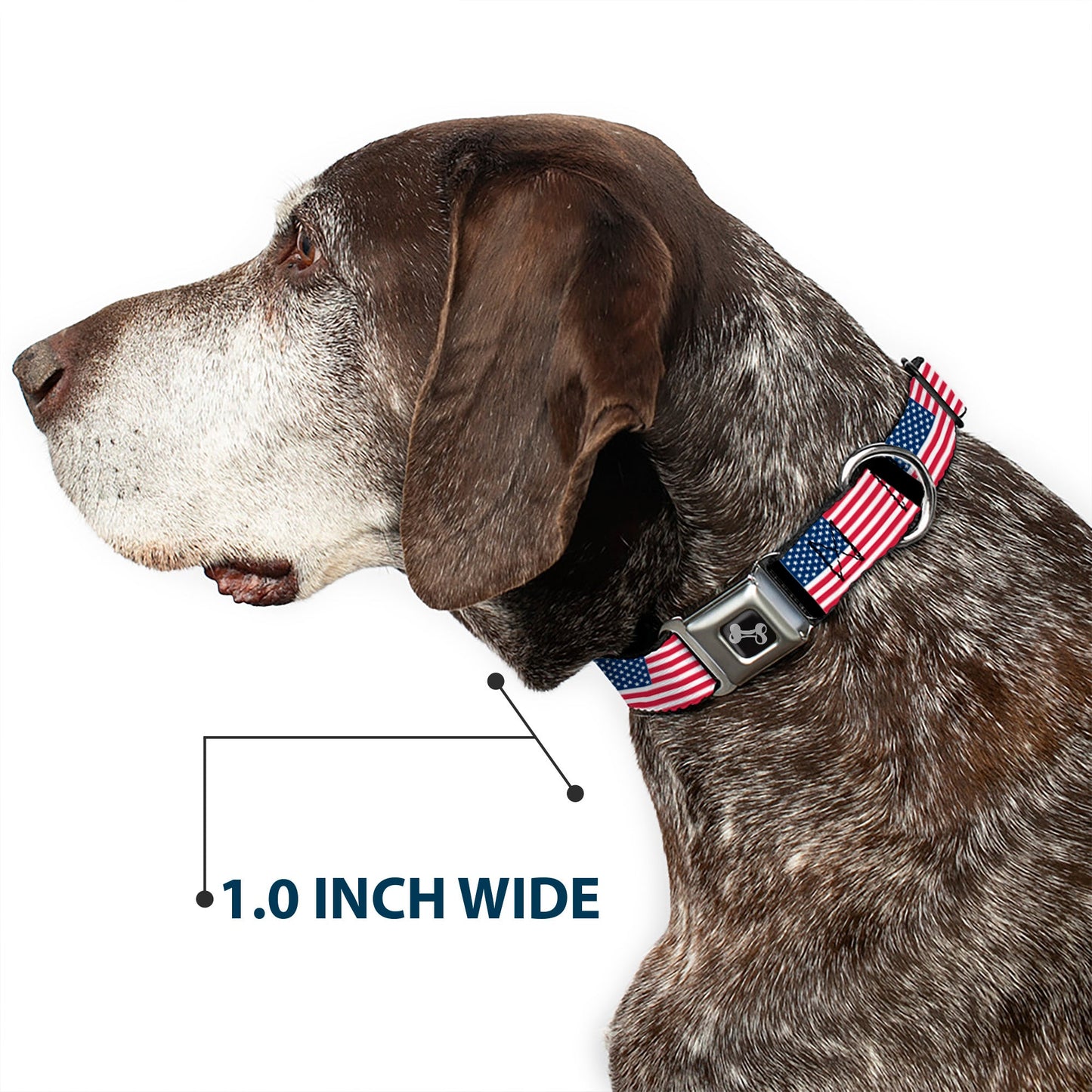 Dog Bone Seatbelt Buckle Collar - United States Flags