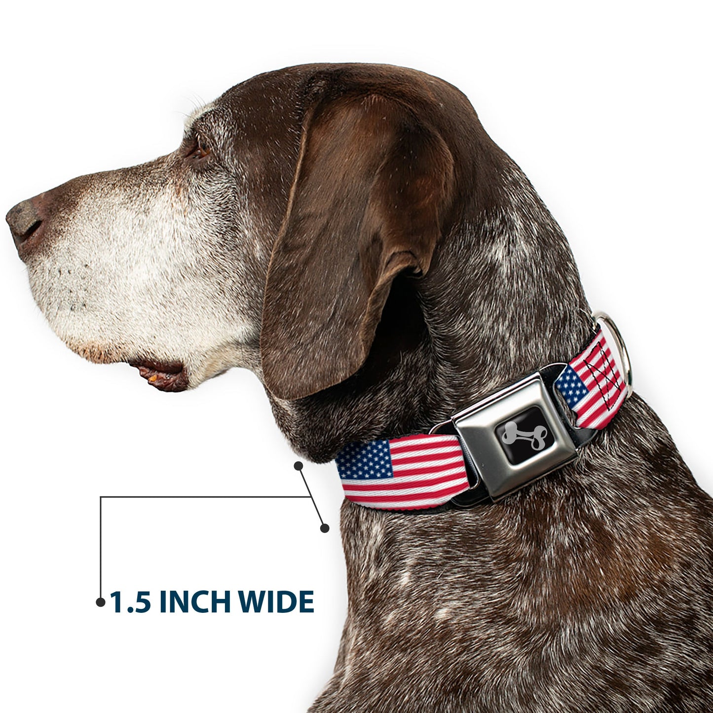 Dog Bone Seatbelt Buckle Collar - United States Flags