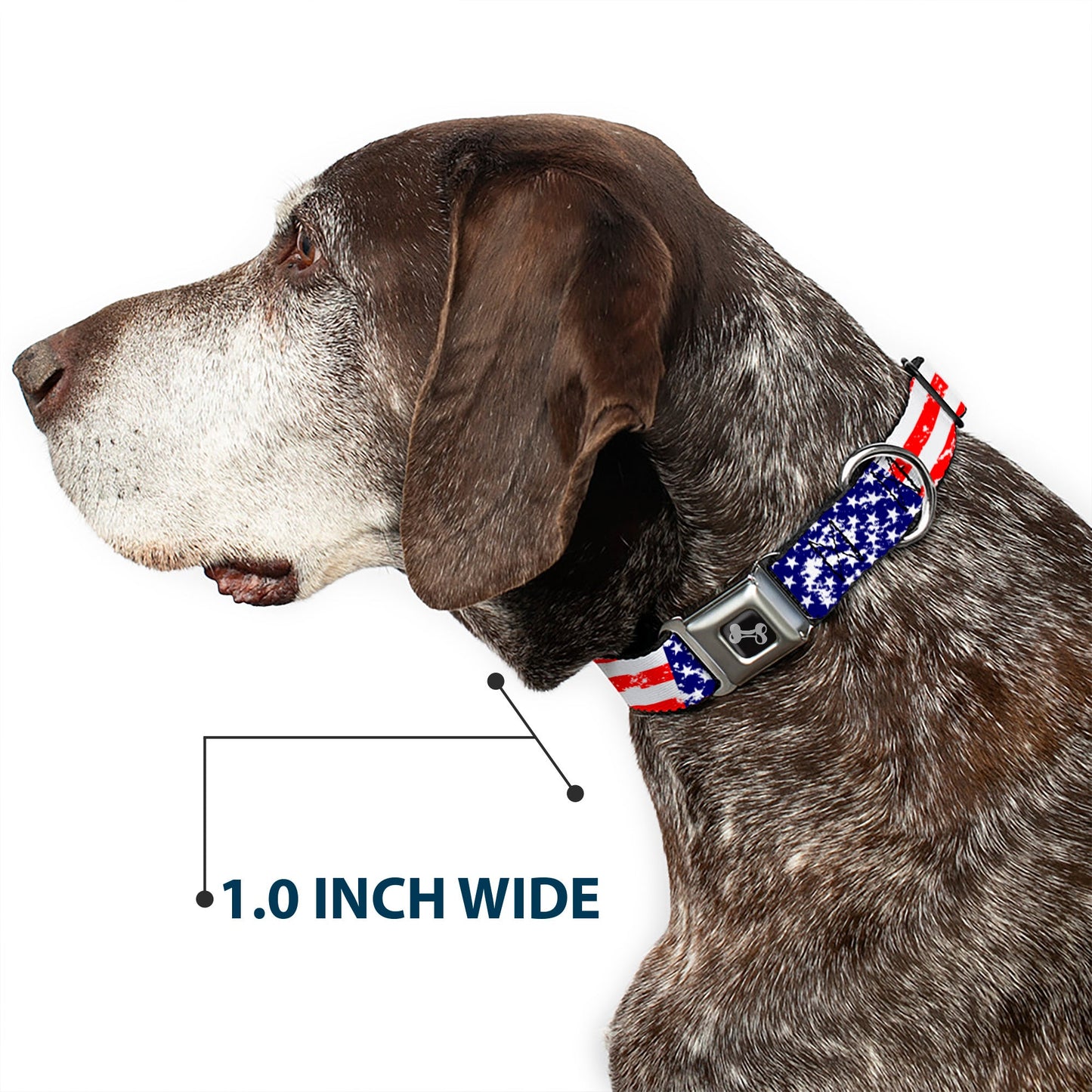 Dog Bone Seatbelt Buckle Collar - United States Flags CLOSE-UP Weathered