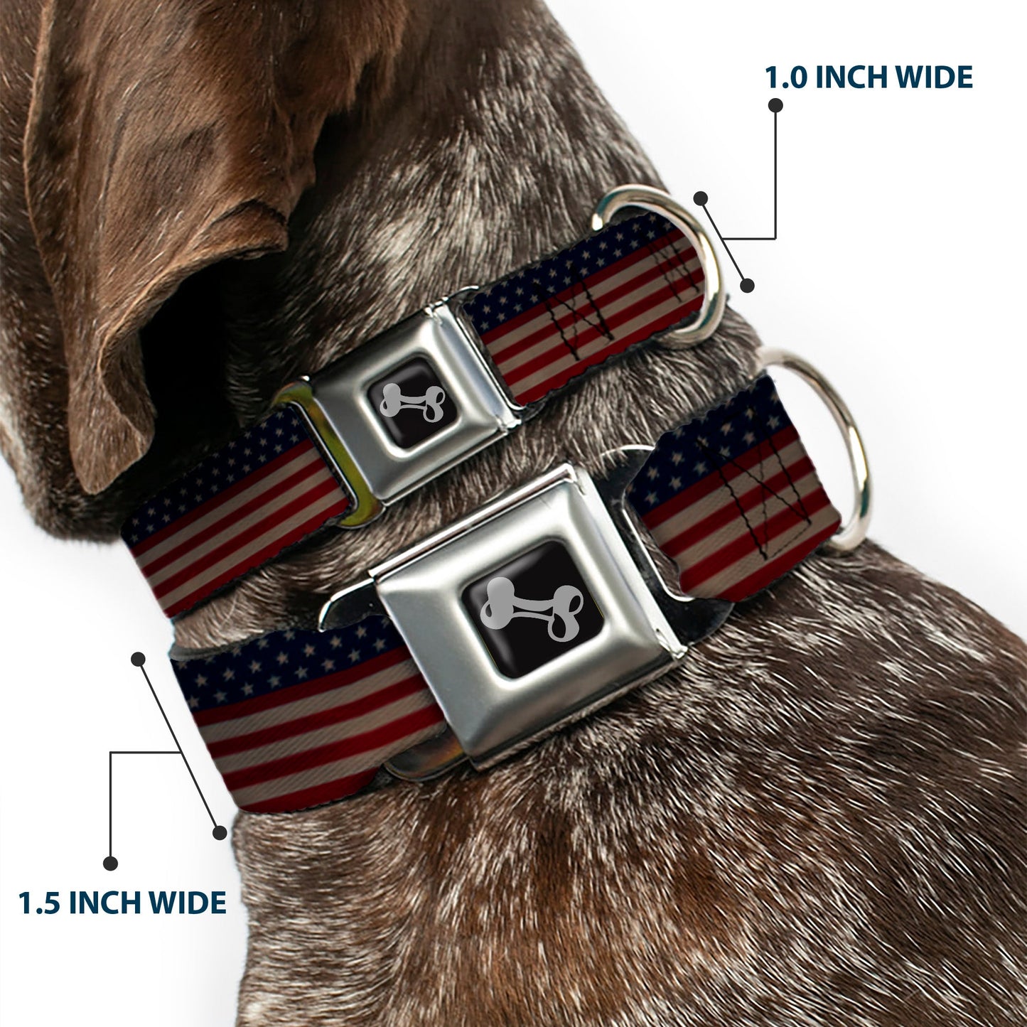 Dog Bone Seatbelt Buckle Collar - United States Flag Stars & Stripes Distressed
