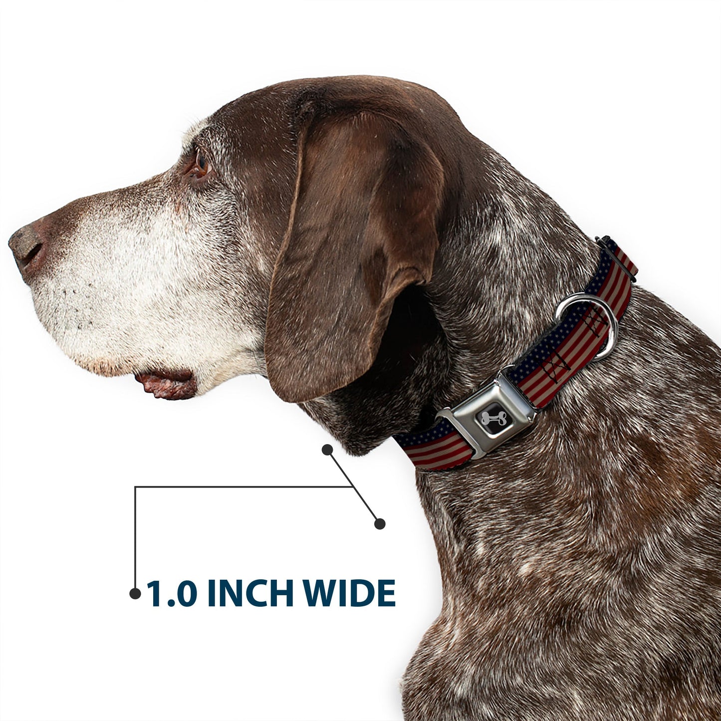 Dog Bone Seatbelt Buckle Collar - United States Flag Stars & Stripes Distressed
