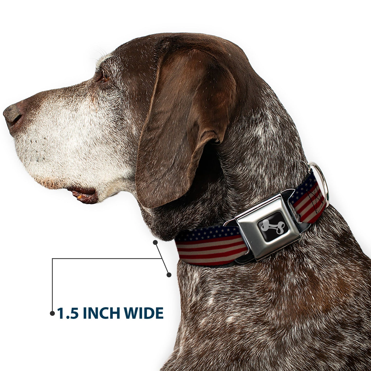 Dog Bone Seatbelt Buckle Collar - United States Flag Stars & Stripes Distressed