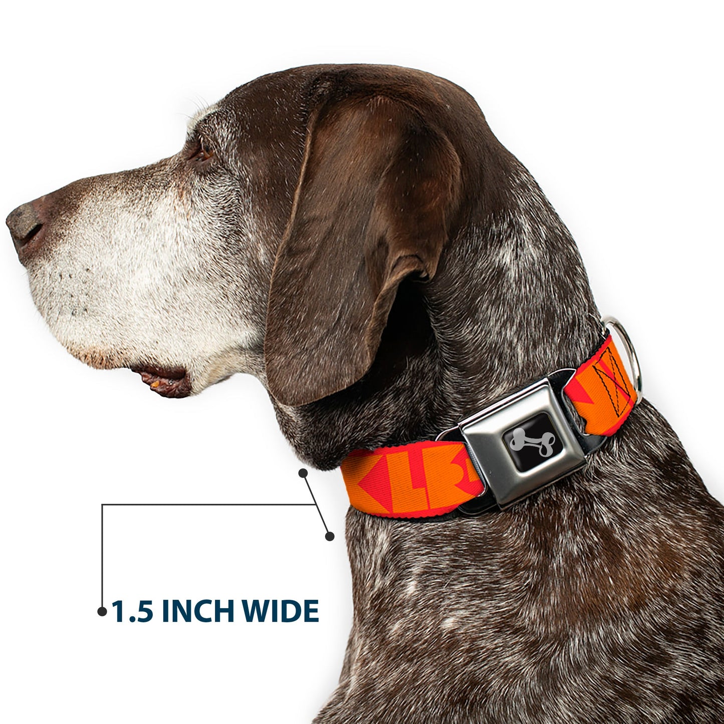 Dog Bone Seatbelt Buckle Collar - BUCKLE-DOWN Shapes Red/Orange