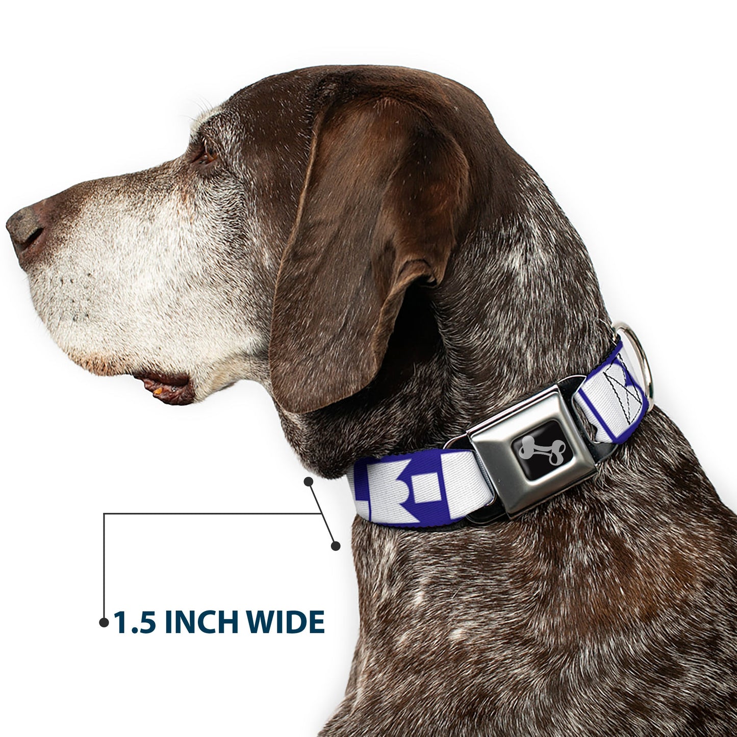 Dog Bone Seatbelt Buckle Collar - BUCKLE-DOWN Shapes Blue/White
