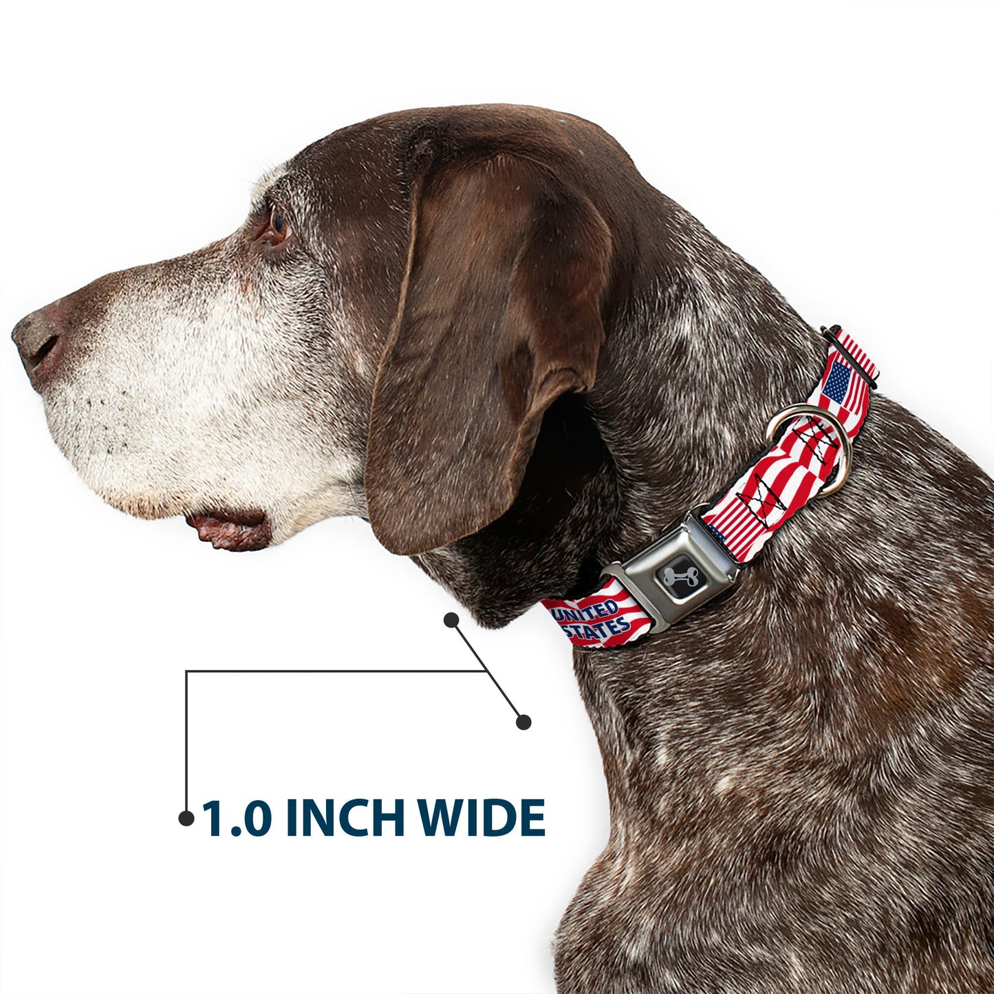 Dog Bone Black/Silver Seatbelt Buckle Collar - Global Soccer Cup Series United States Spirit Flag