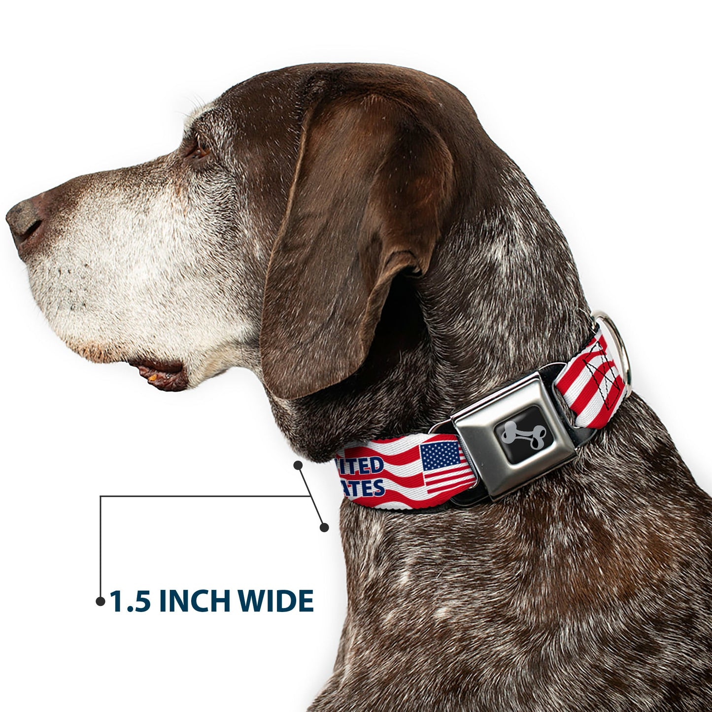 Dog Bone Black/Silver Seatbelt Buckle Collar - Global Soccer Cup Series United States Spirit Flag