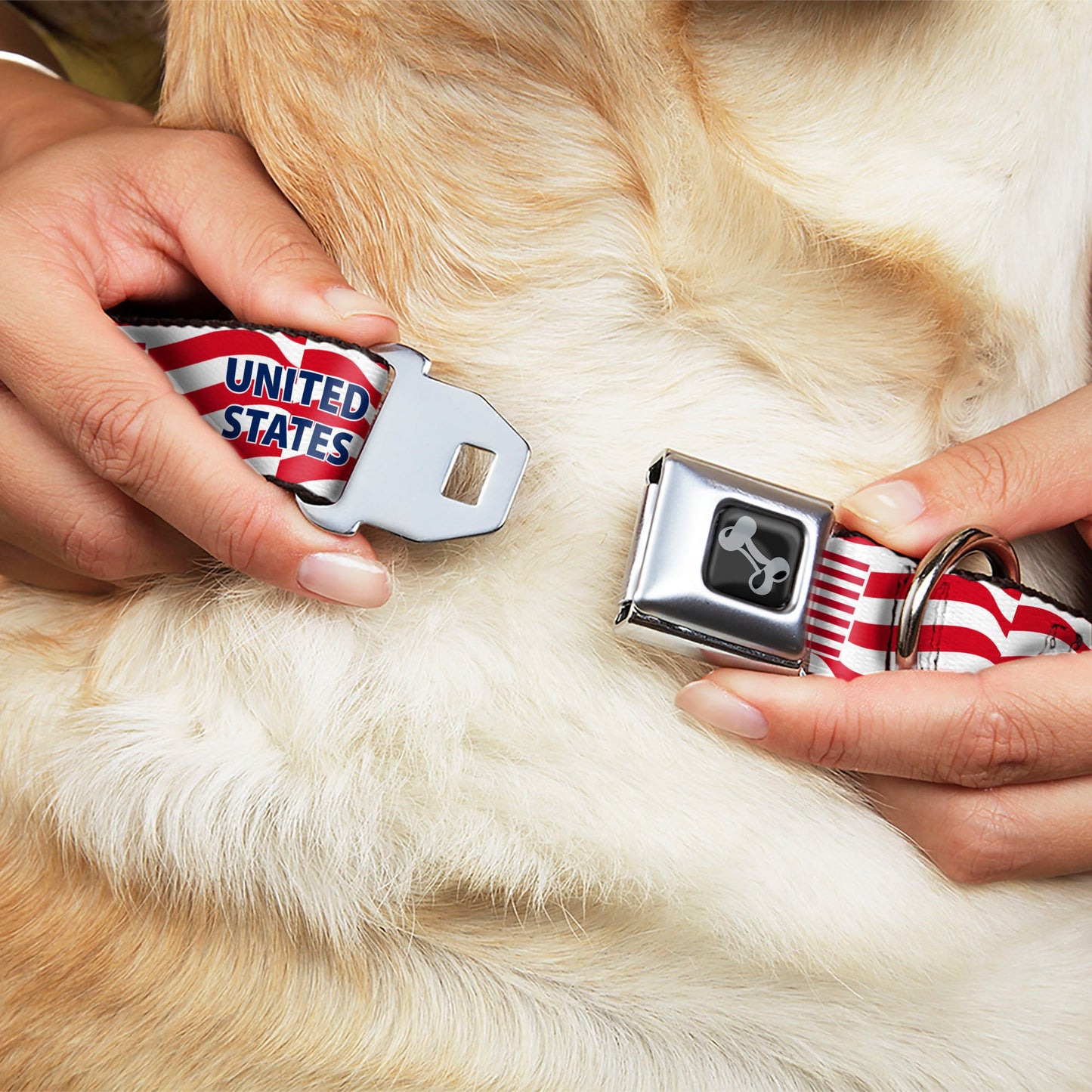 Dog Bone Black/Silver Seatbelt Buckle Collar - Global Soccer Cup Series United States Spirit Flag