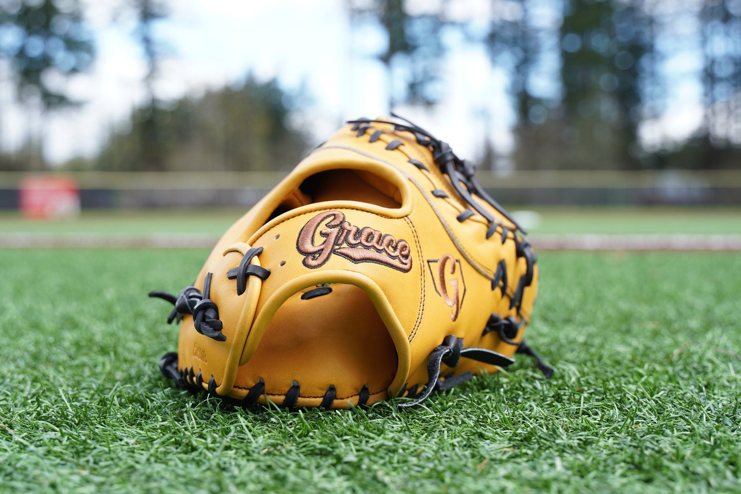 13" Dual-X Web First Base Grace Glove - GG13FB