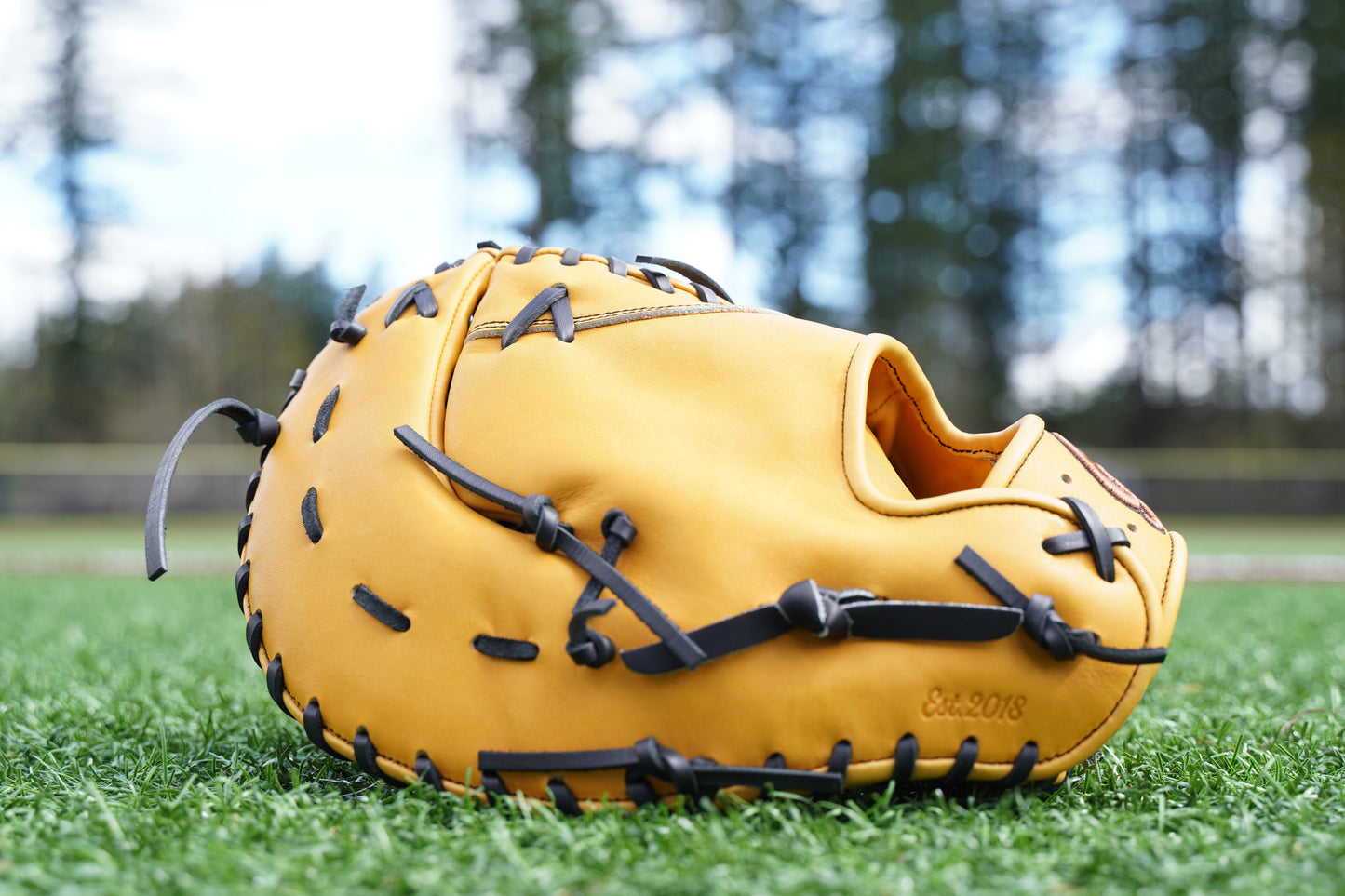 13" Dual-X Web First Base Grace Glove - GG13FB