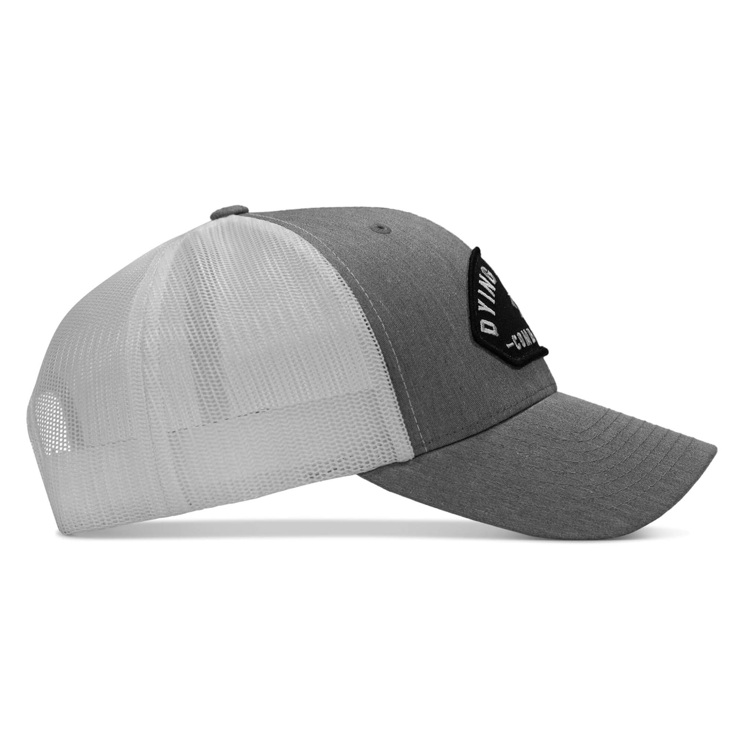 Dying Is Easy Arched Patch Snapback Hat