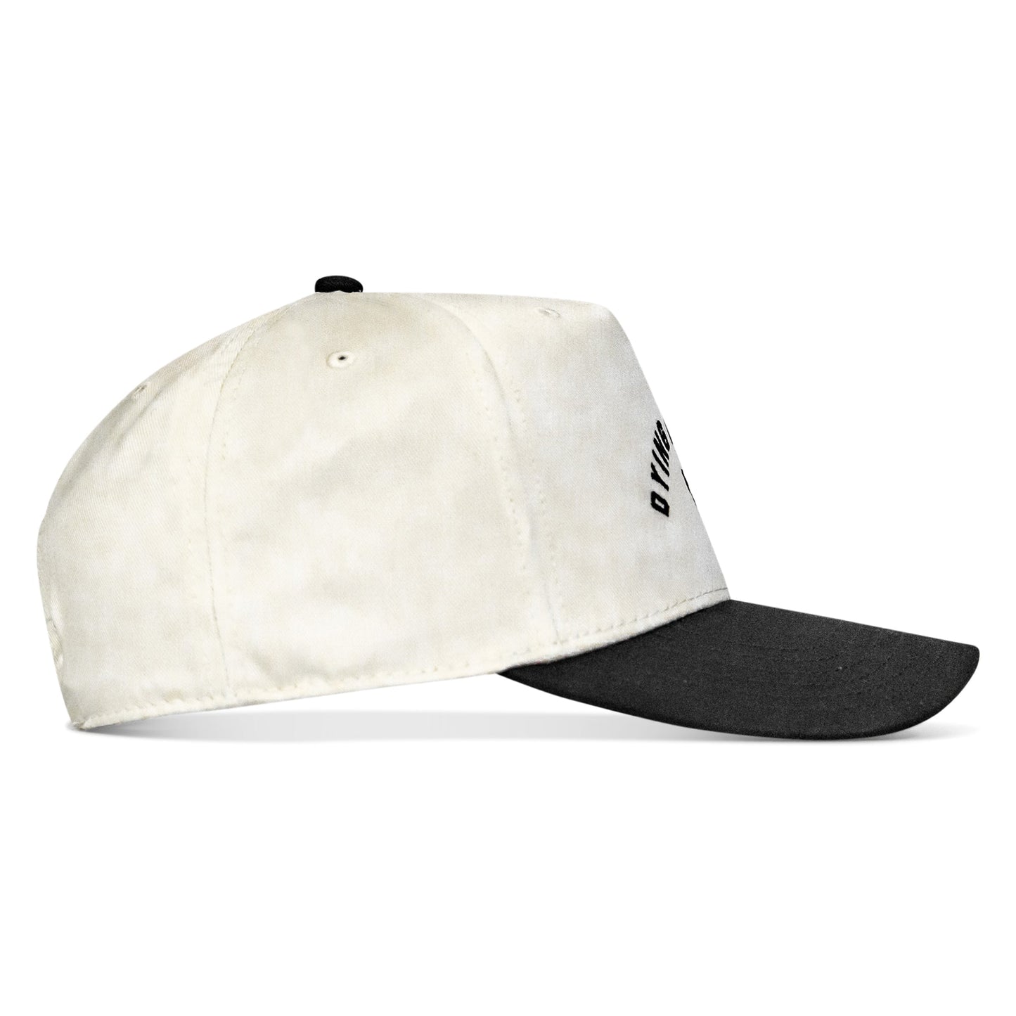 Dying Is Easy Classic Snapback Hat
