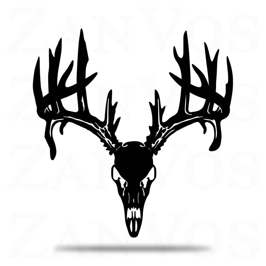 Deer Skull