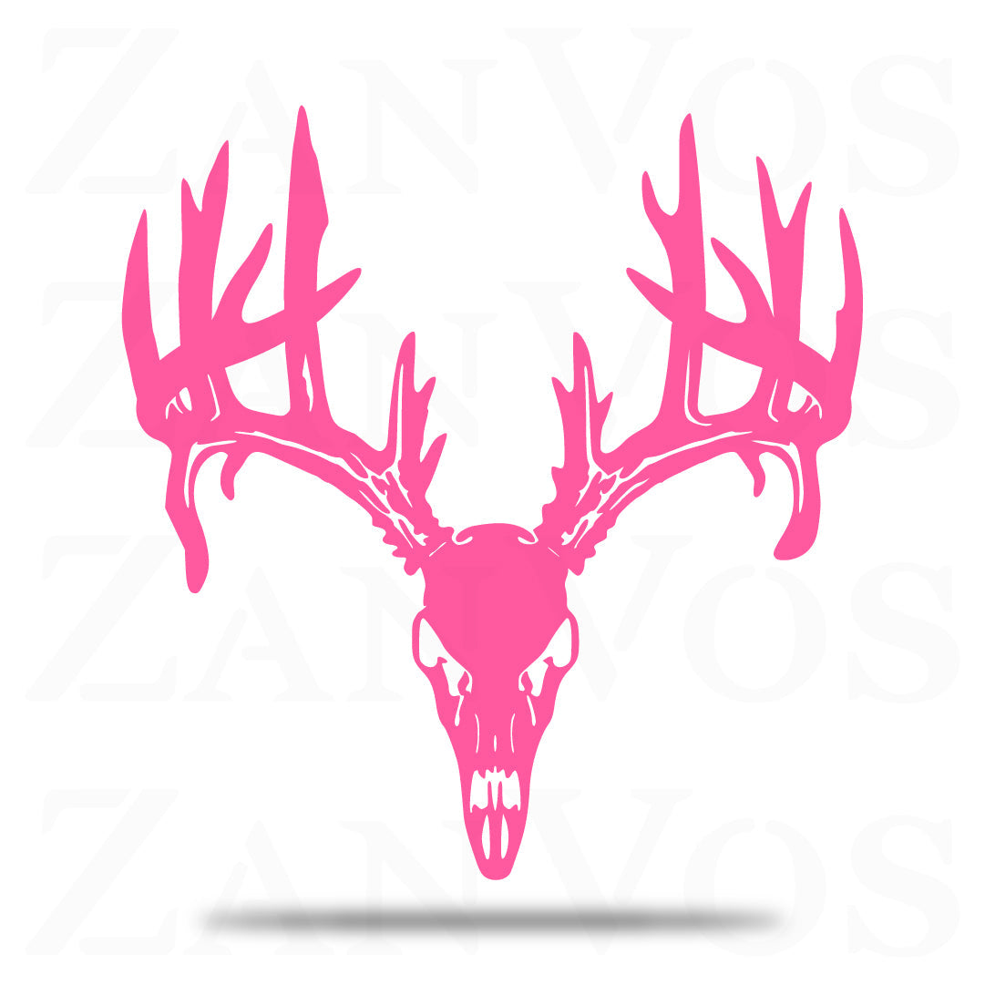 Deer Skull