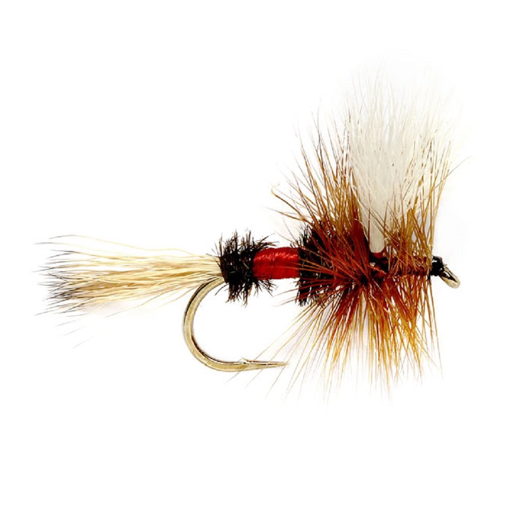 Trout Flies Assortment - 12 Flies for Trout Fly Fishing with Fly Box - Essential Dry and Wet Fly Selection
