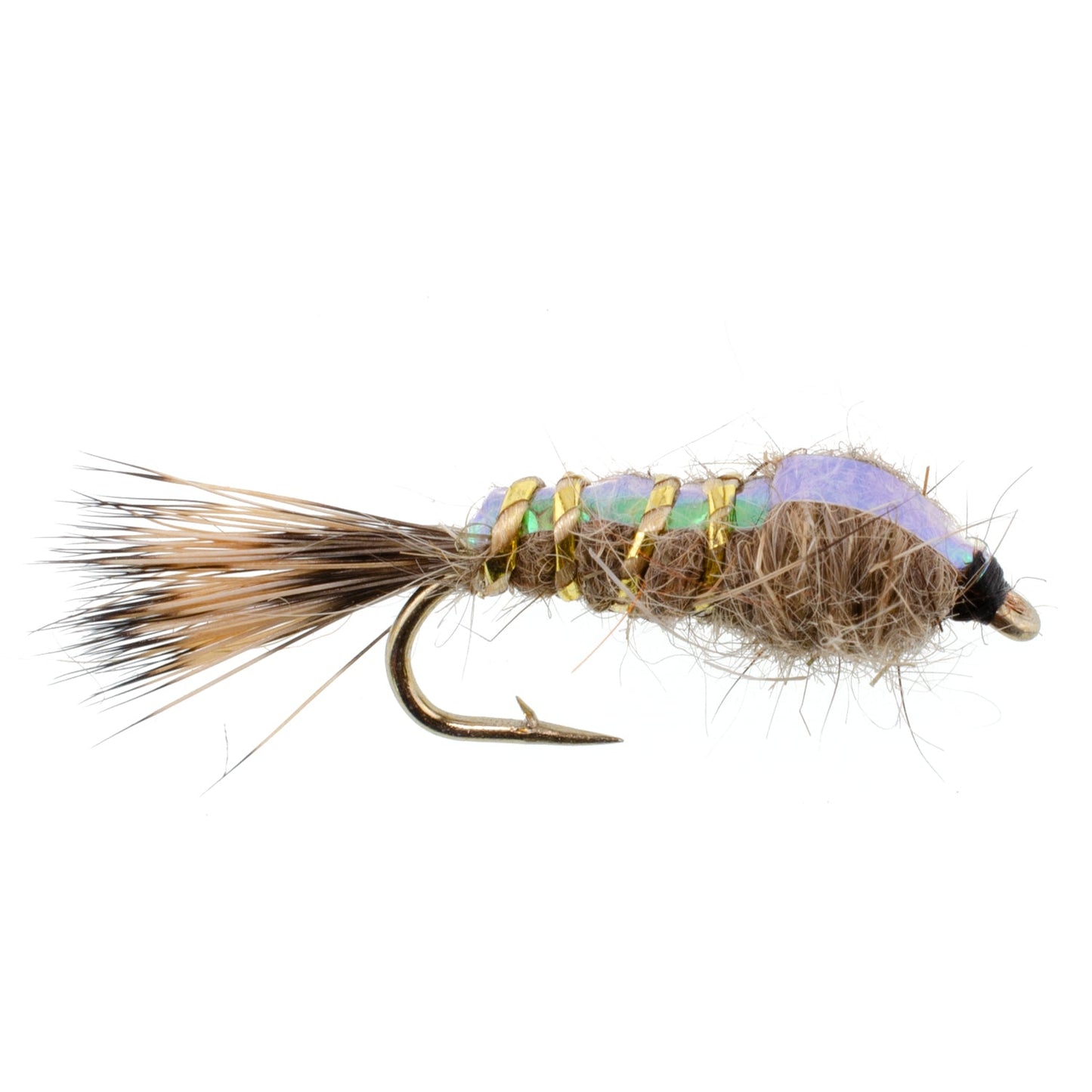 Classic Weighted Flashback Gold Ribbed Hares Ear Nymph - Set of 6 Flies - Size 12