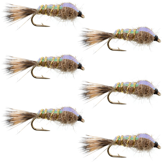 Classic Weighted Flashback Gold Ribbed Hares Ear Nymph - Set of 6 Flies - Size 18