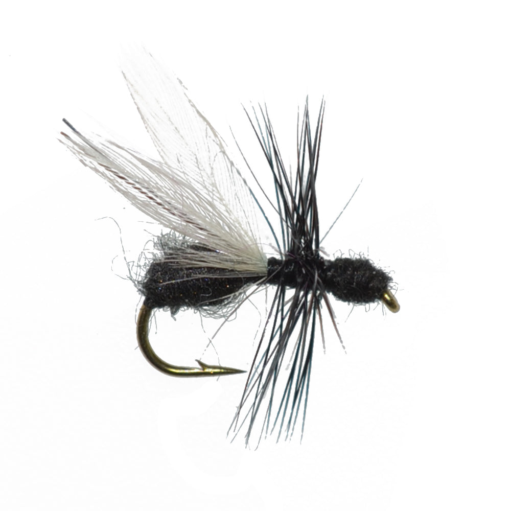 Trout Fly Assortment - Essential Terrestrials Fly Fishing Flies Collection - Includes Foam Hoppers, Ants, Beetles, and Cicadas - 1 Dozen Trout Flies with Fly Box