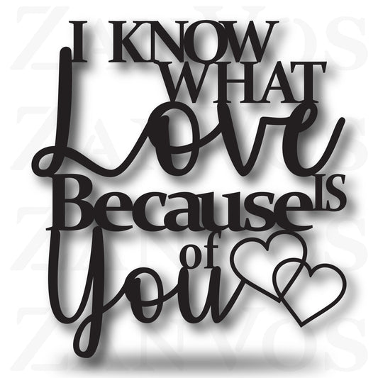 I Know What Love Is
