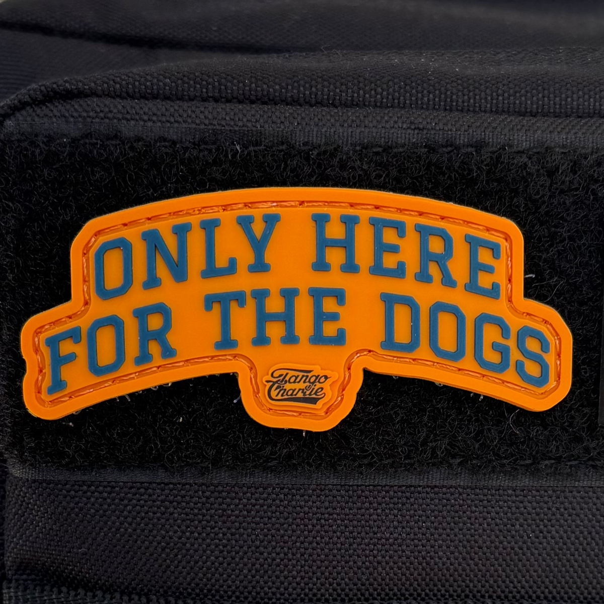"Only Here for the Dogs" - Patch