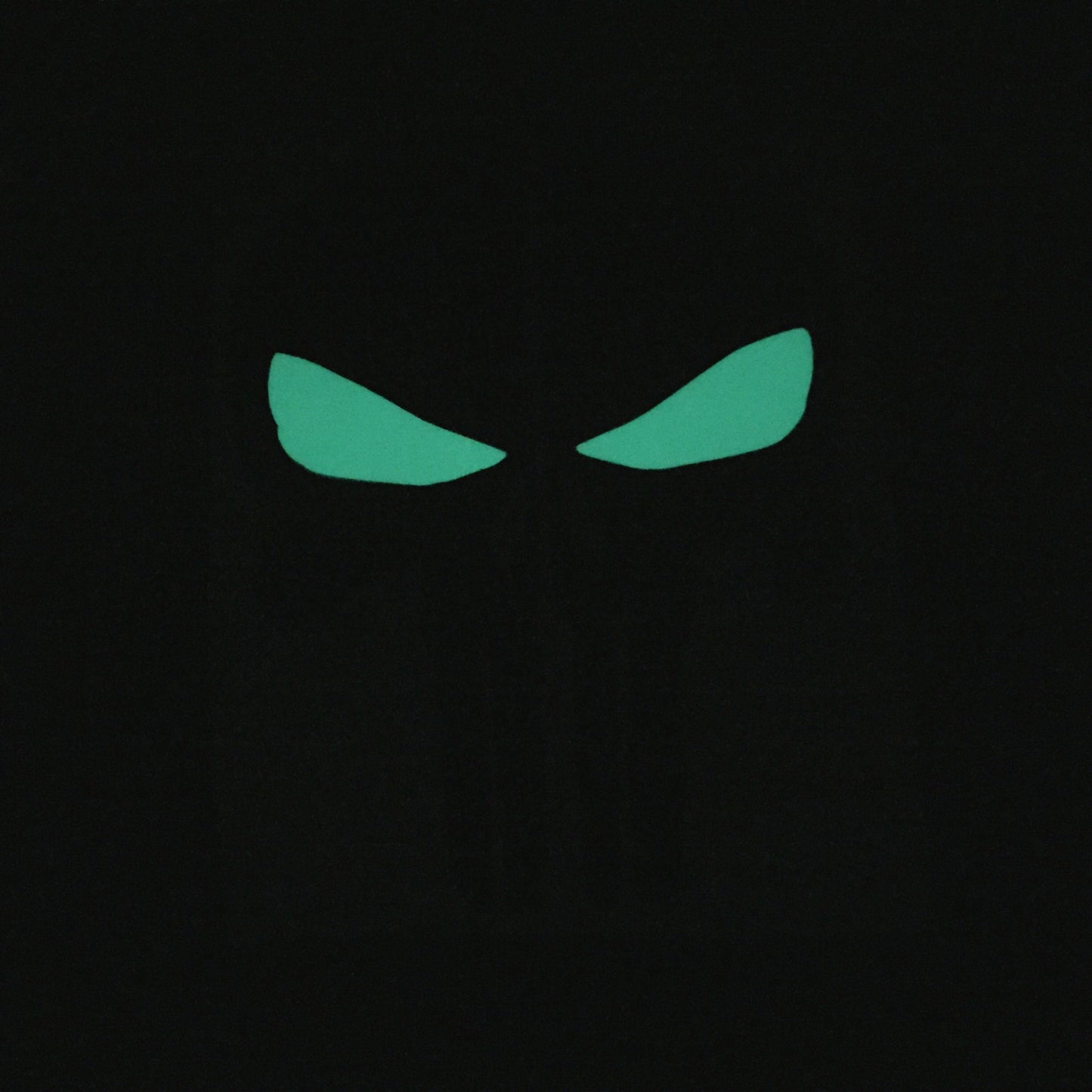 PUNISHER SKULL GLOW EYES REAR HELMET REFLECTIVE HELMET DECAL
