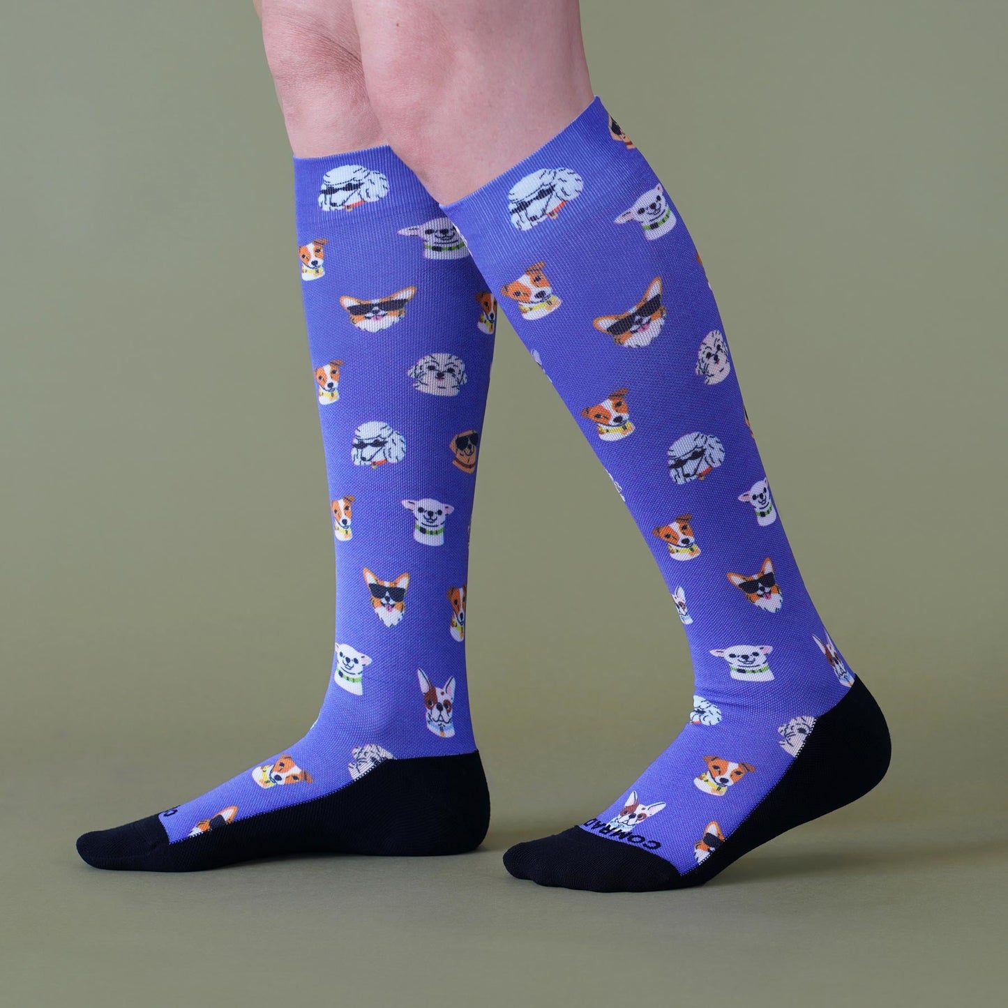 Cute Compression Socks – Dog