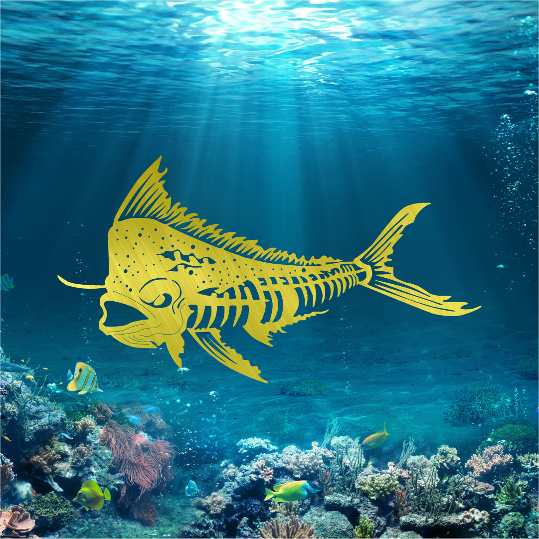 Mahi Mahi Bones