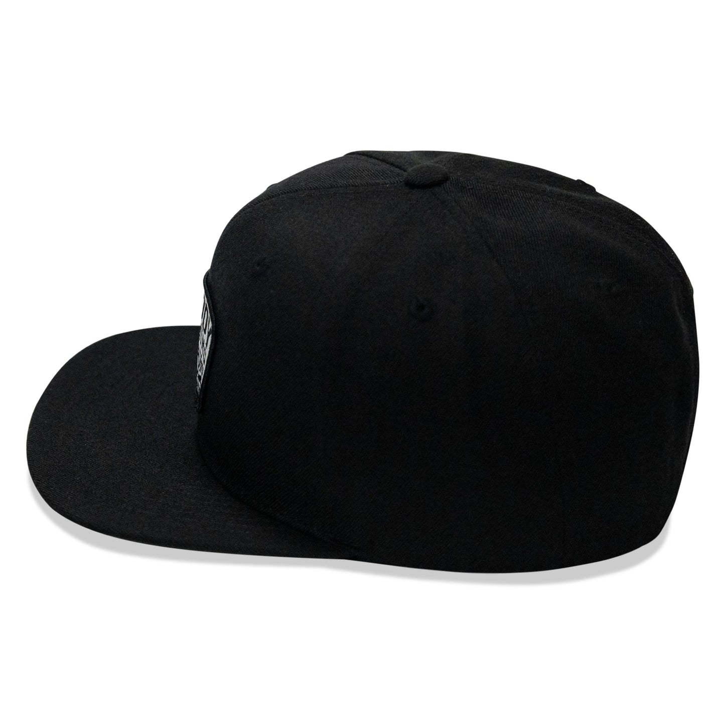 Nobody Is Coming To Save You Skull Patch Flatbill Snapback Hat