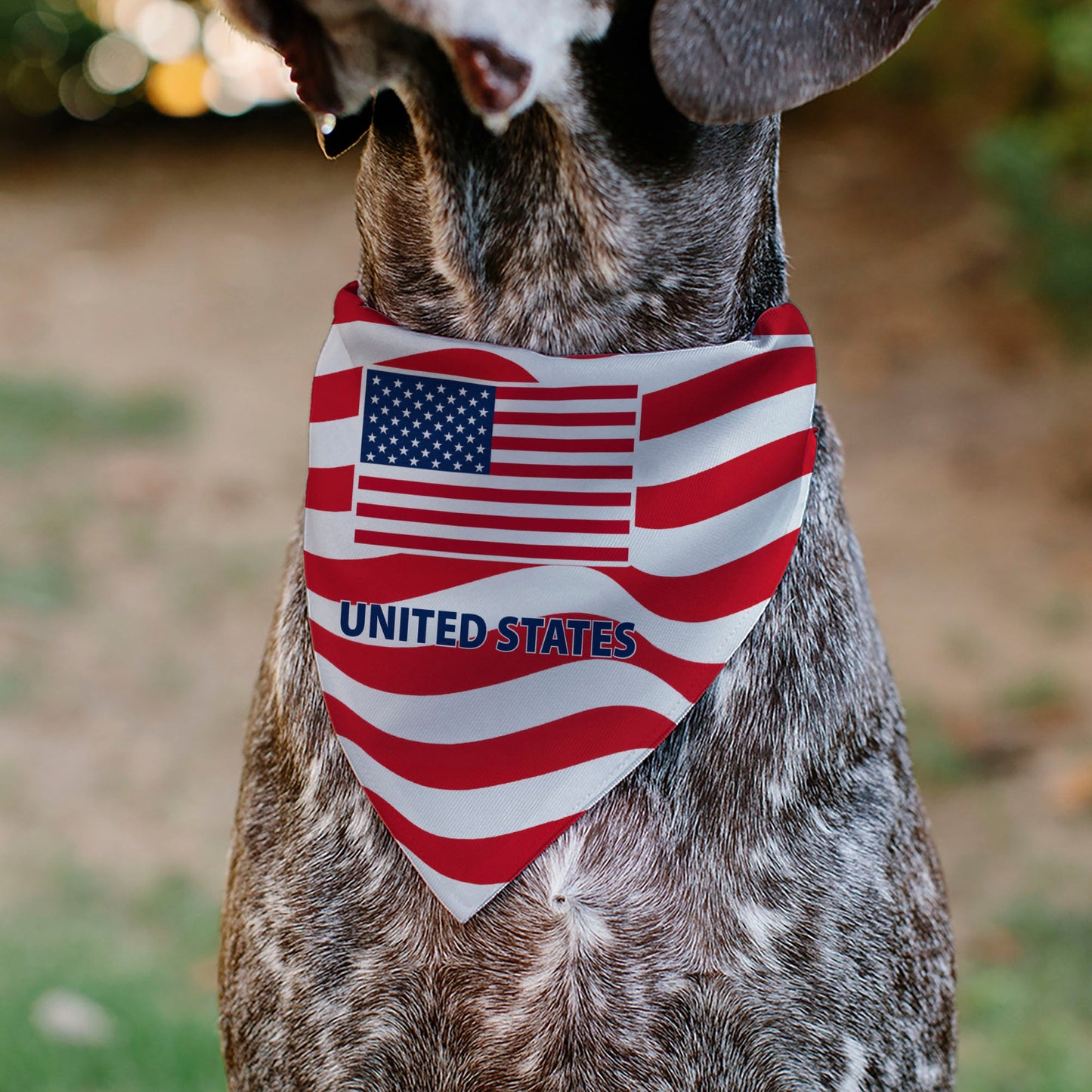 Pet Bandana - Global Soccer Cup Series United States Spirit Flag