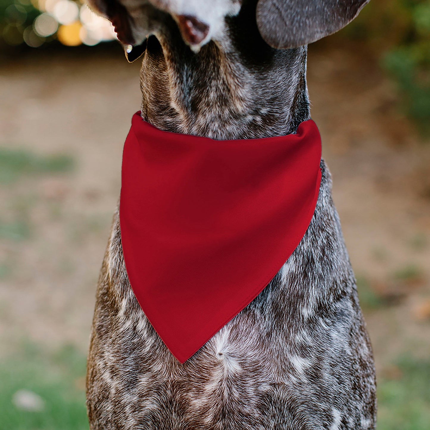 Pet Bandana - Global Soccer Cup Series United States Spirit Flag