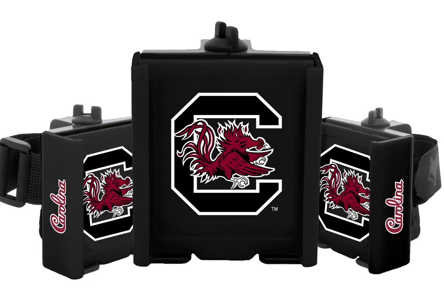 NCAA - South Carolina