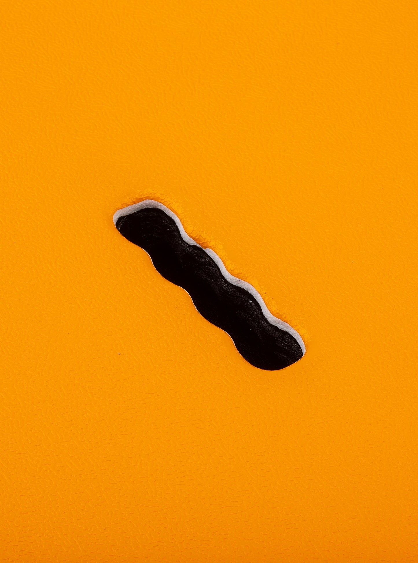 Easy Rider (Tri Fin)