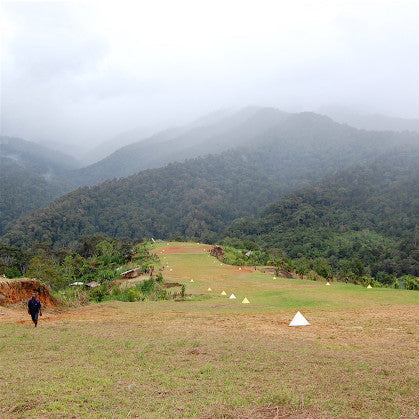 SAFARI BLEND - DARK ROAST