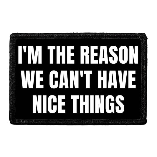 I'm The Reason We Can't Have Nice Things - Removable Patch