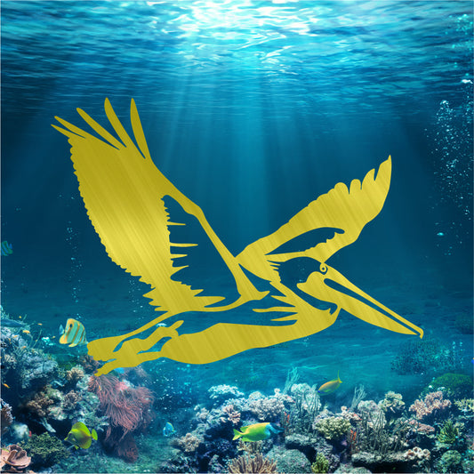 Pelican Flying