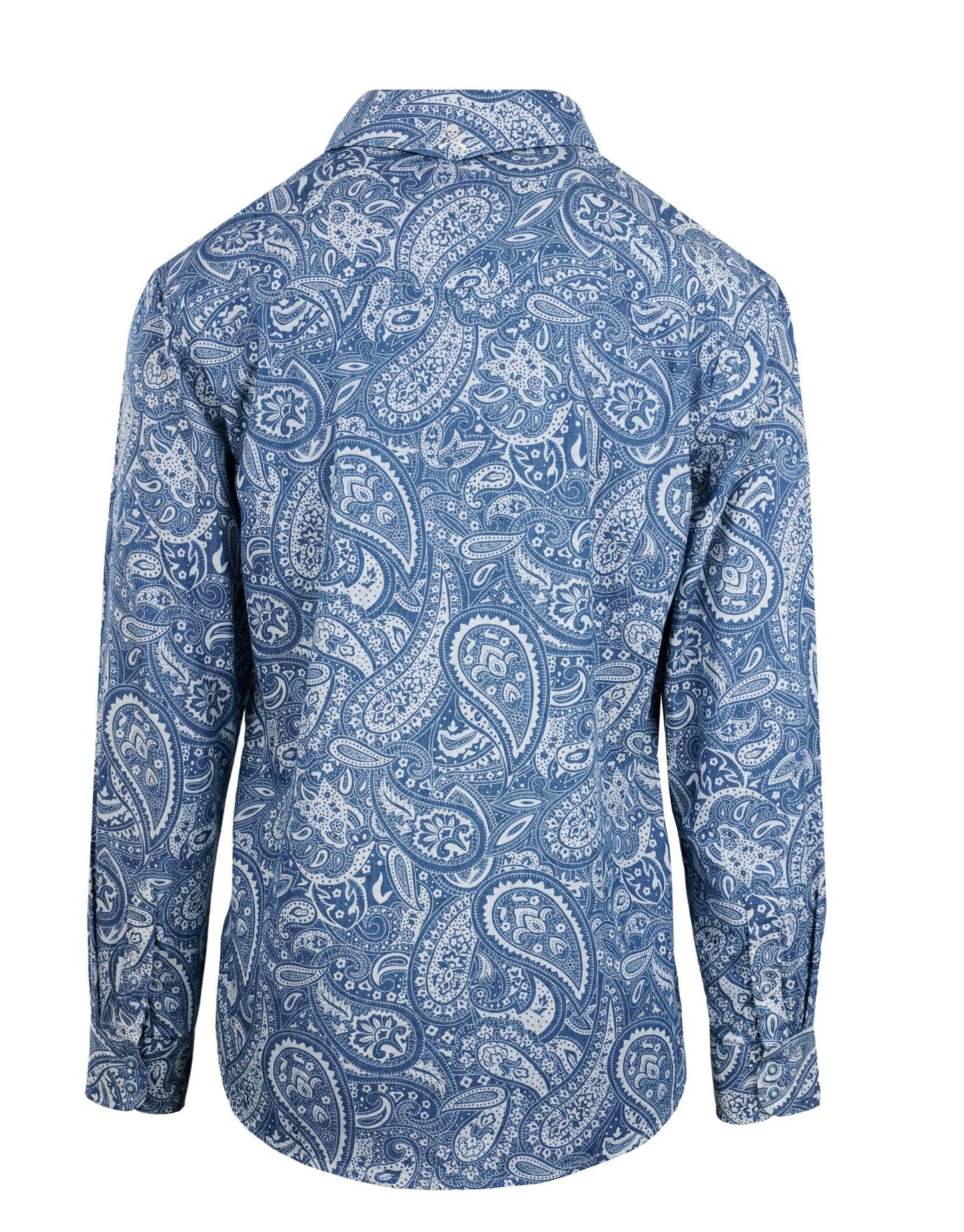 Hillbilly Deluxe Paisley II