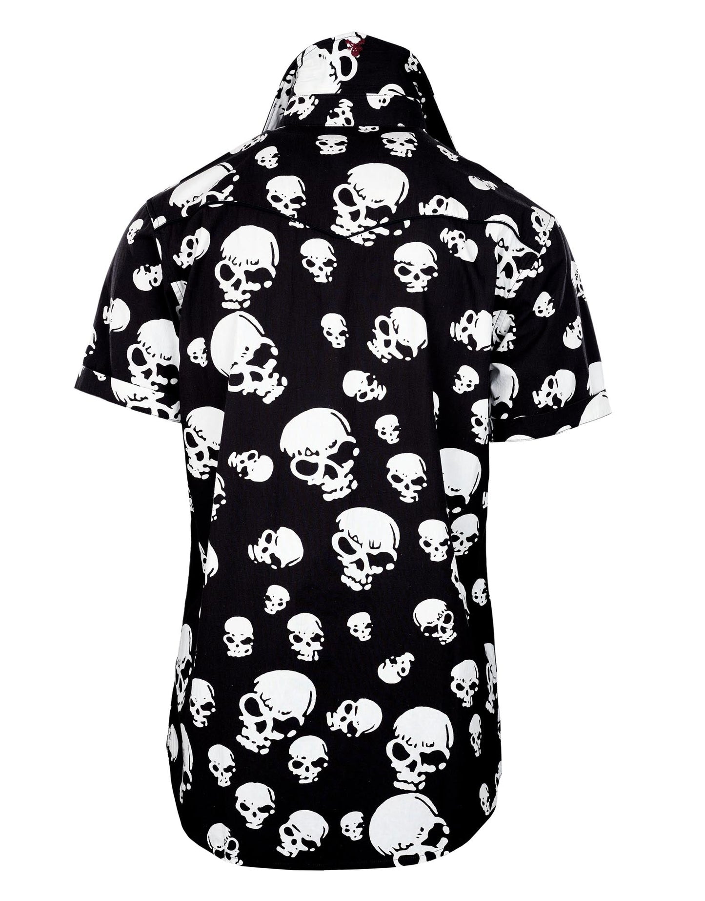 S/S Dragula