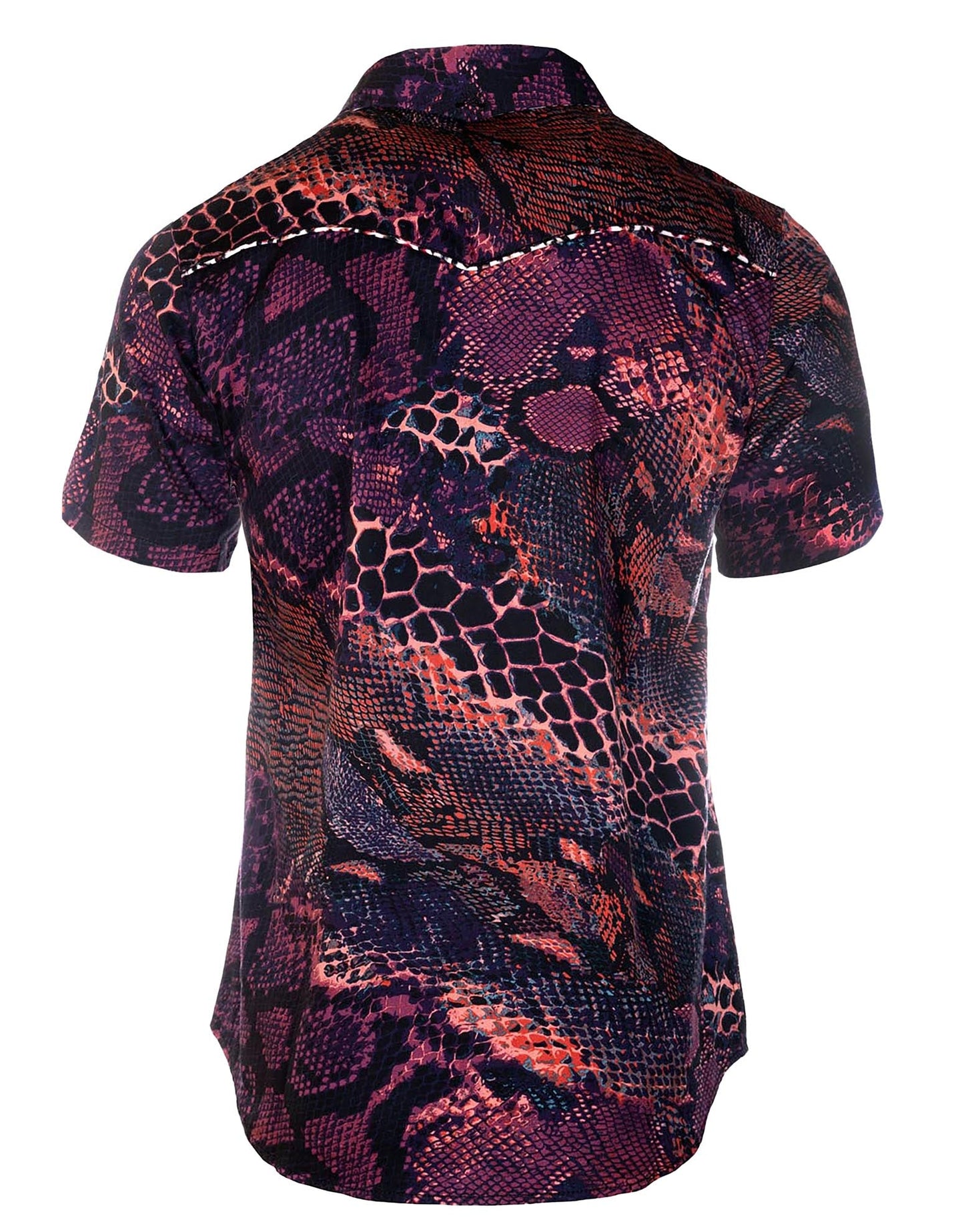 S/S Tube Snake Boogie